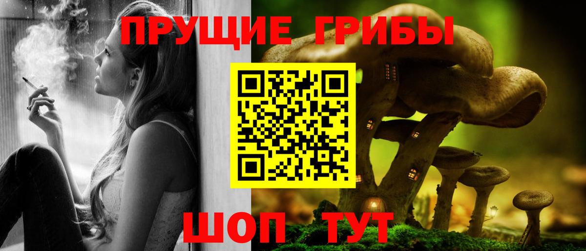 Артём  купить наркотик  Вход с VPN  Галлюциногенные грибы Cubensis 